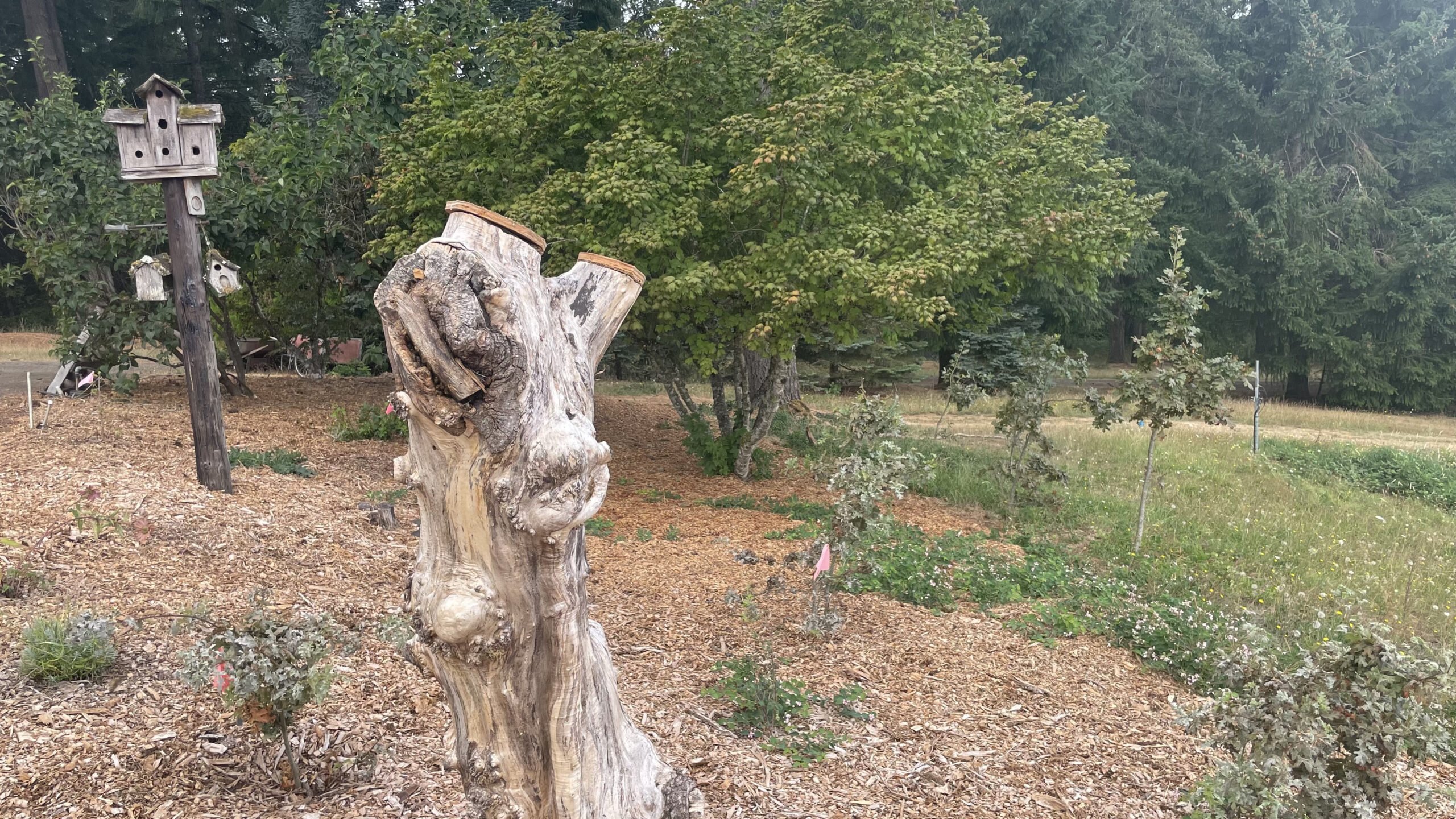 Swarm Habitat